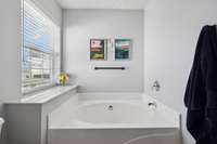 Separate soaking tub in primary bath