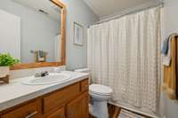 Downstairs guest bath