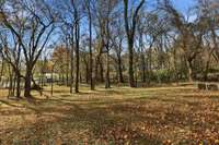 Autumn view from deck and patio