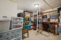 Basement level storage or shelter from storms