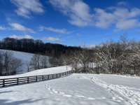 Photo provided by Seller