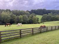 Photo provided by Seller