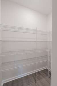 Large Walk-in Pantry! Lots of Shelving!