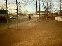 Partial view of expansive backyard