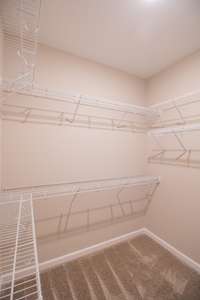 EXAMPLE>>>One of the Walk-in Closets, Tons of Shelving!! (Primary Bedroom)