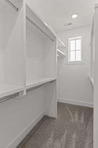 *Photo for representation only