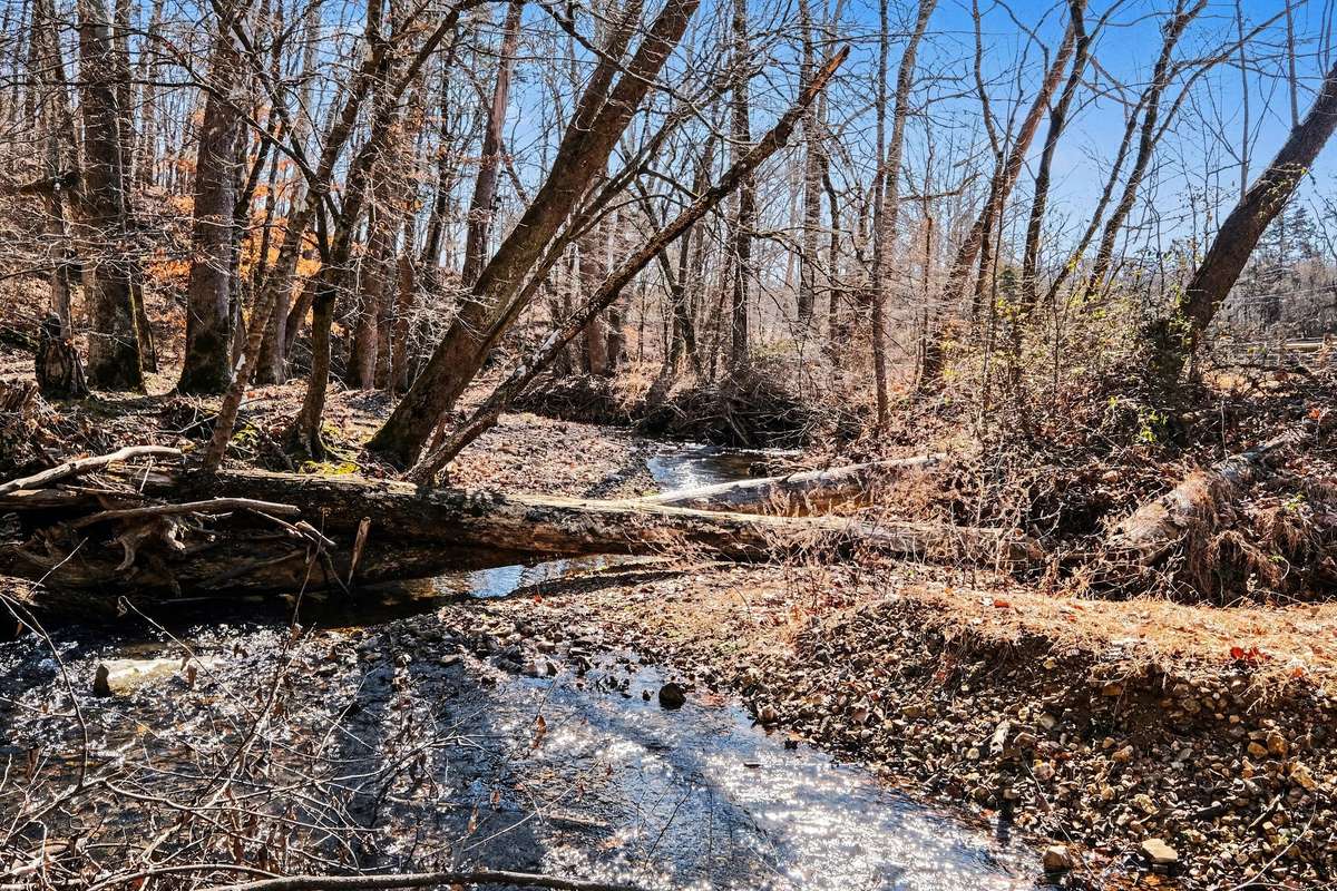 Pretty creek that runs along the property!