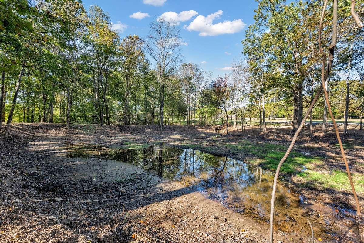 Stream at Back Side of Property