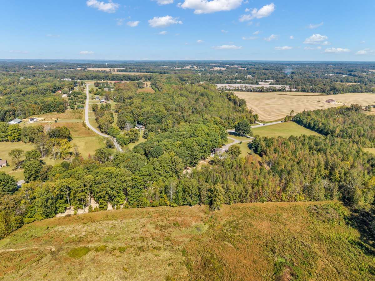 Drone View
