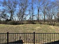 Back Deck Tree-Lined View