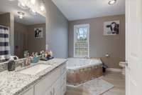 Large Vanity, Whirlpool Tub, Shower
