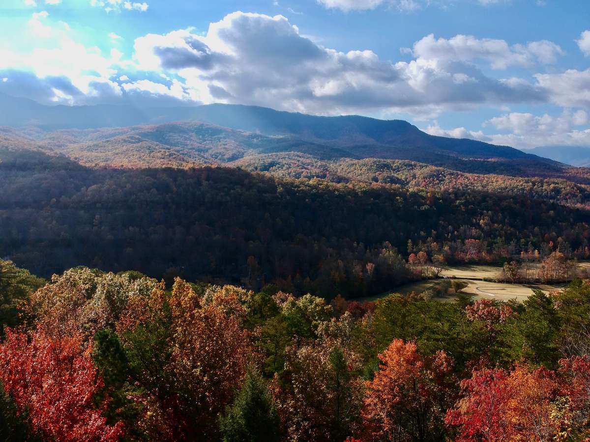 Beautiful fall colors!
