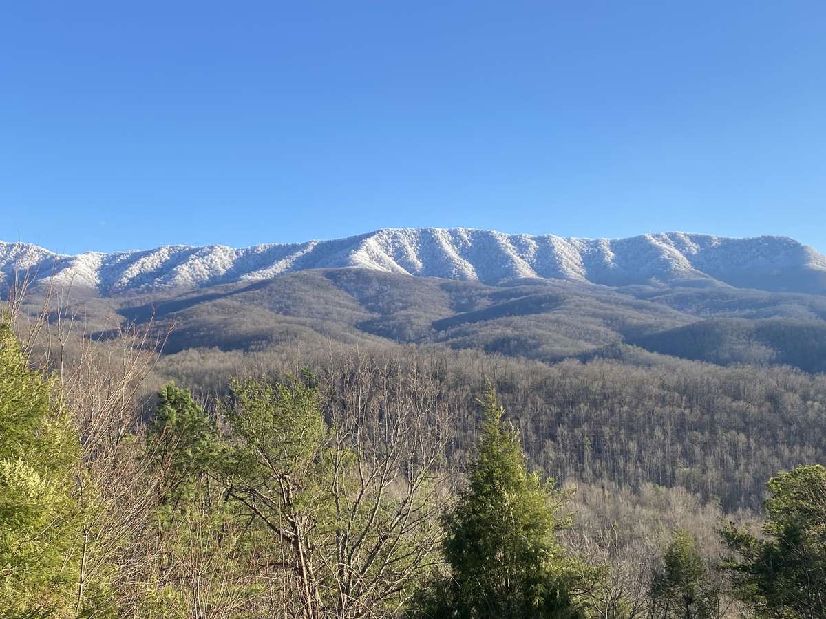 Winter View