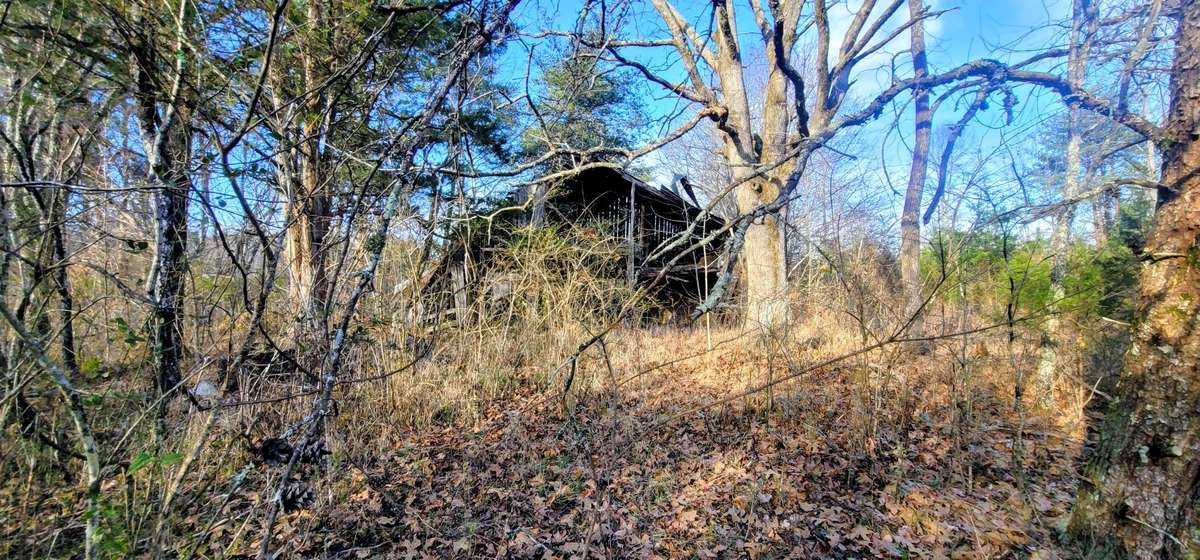old barn still standing, maybe able to salvage