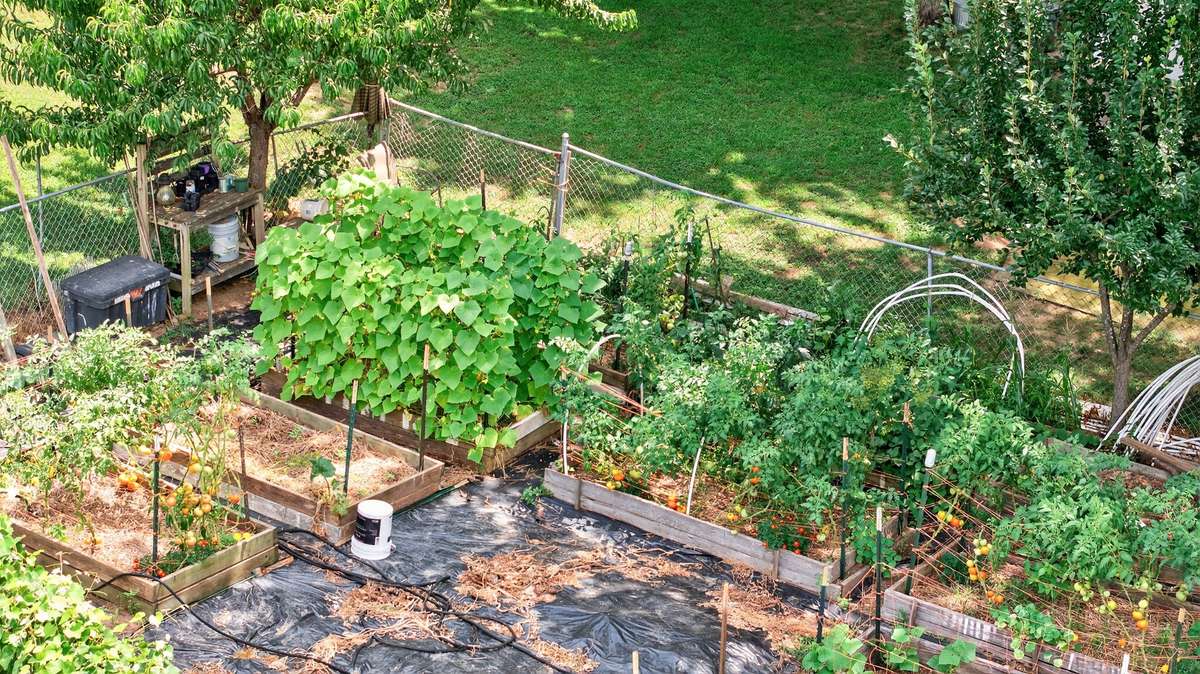 On a 2.6 acre lot, there's plenty of room for expansive gardens and raised garden beds—whether for vegetables or flowers.