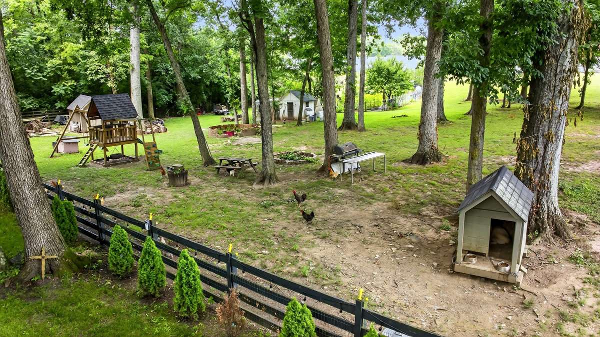 Imagine the joy of daily fresh eggs and waking up to the sound of your very own chickens in the backyard!