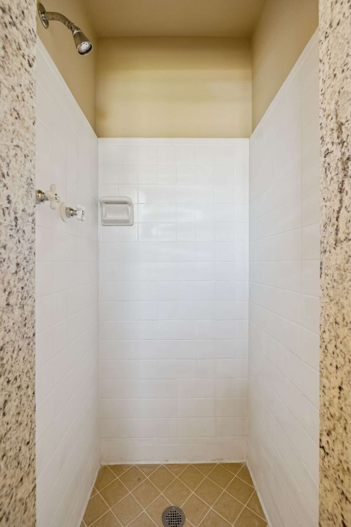 Primary ensuite shower
