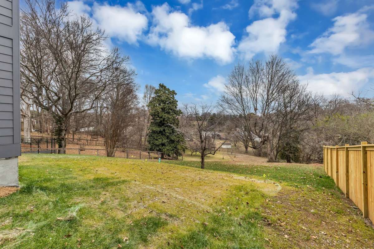 Property Back Yard goes to the bottom of the hill