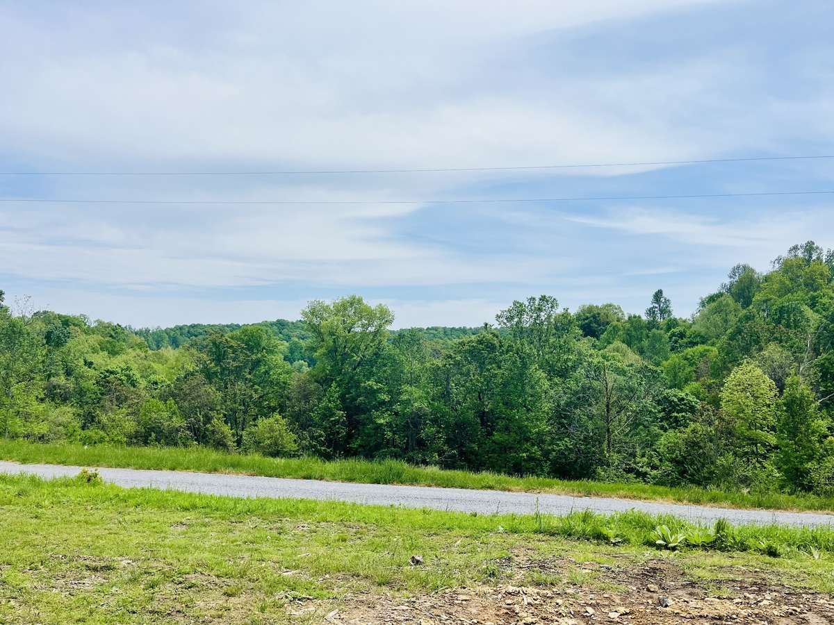 View from the front porch
