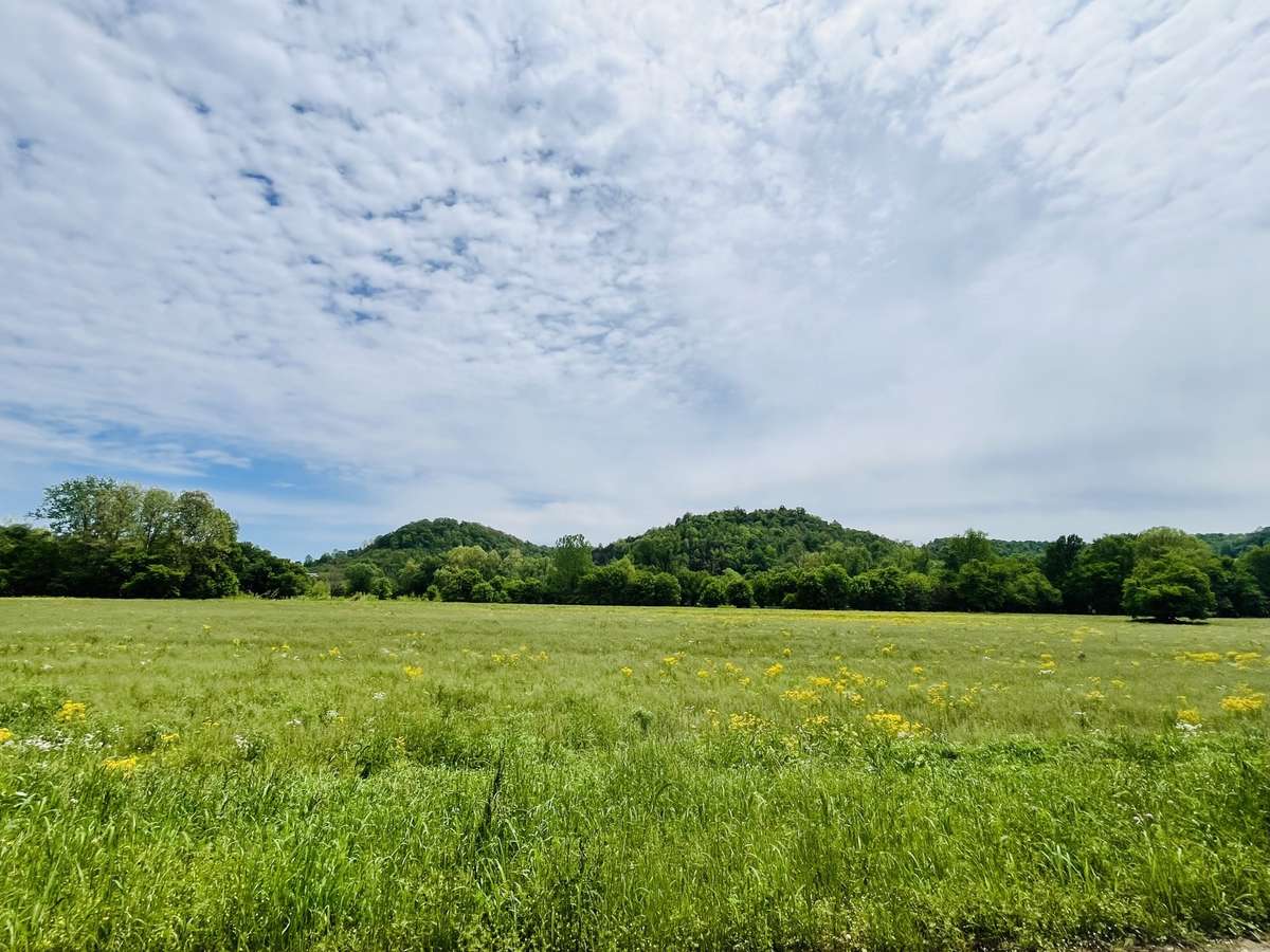 Amazing right?! You’ll see this on your drive to the house!