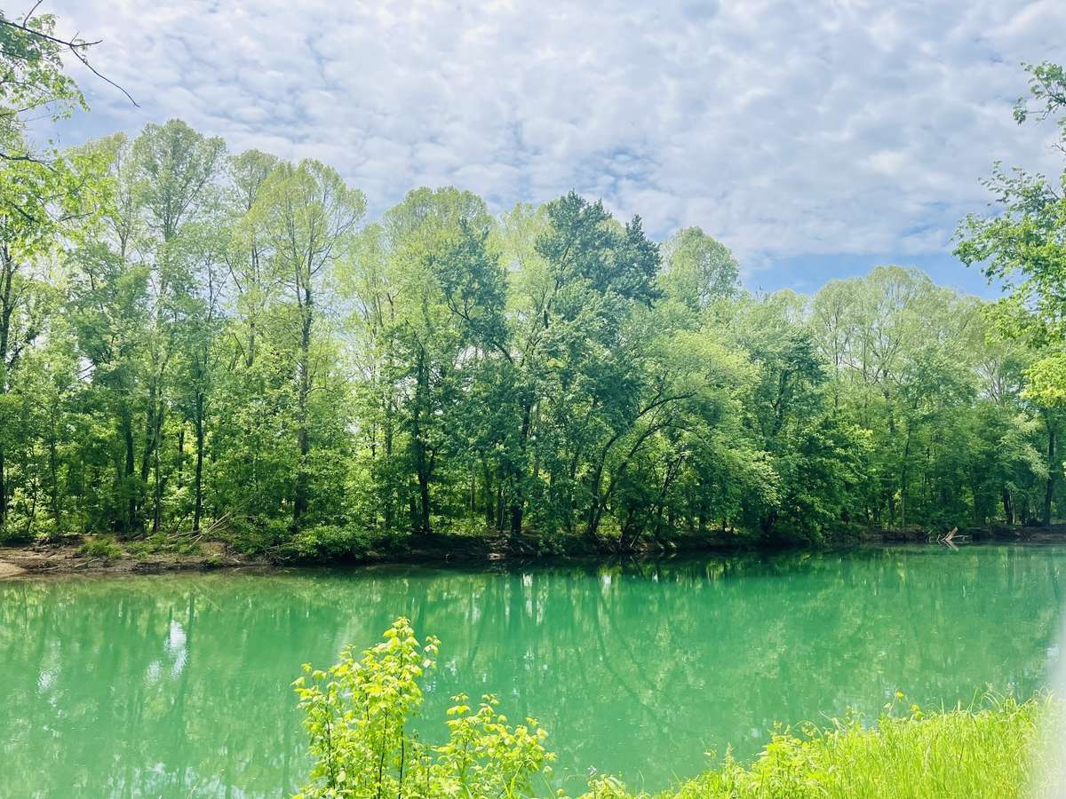 The drive to and from the house is so peaceful driving along the river. Have a picnic, go kayaking, or head down with your fishing poles!