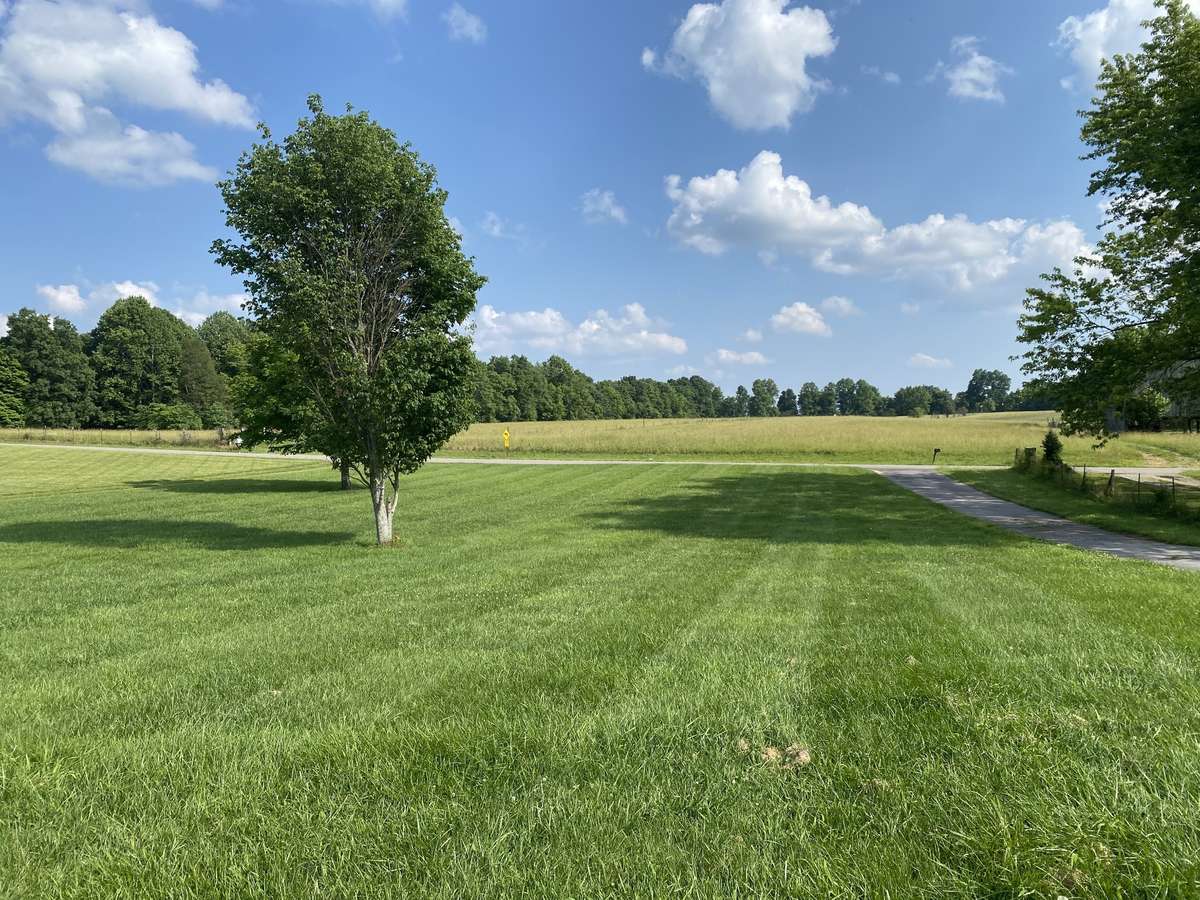 View from front porch.