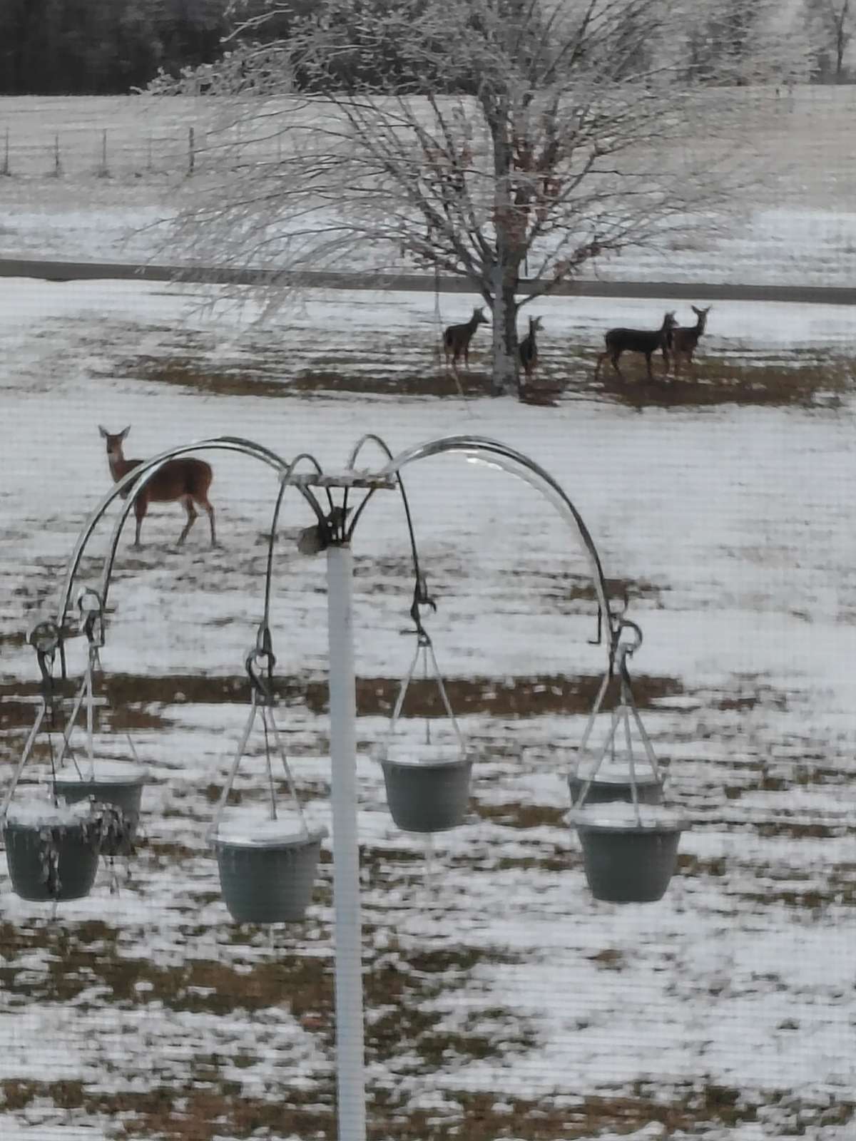 Winter wonderland