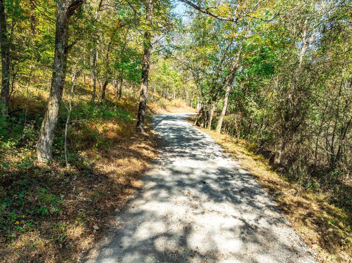 another beautiful view of the amazing driveway!