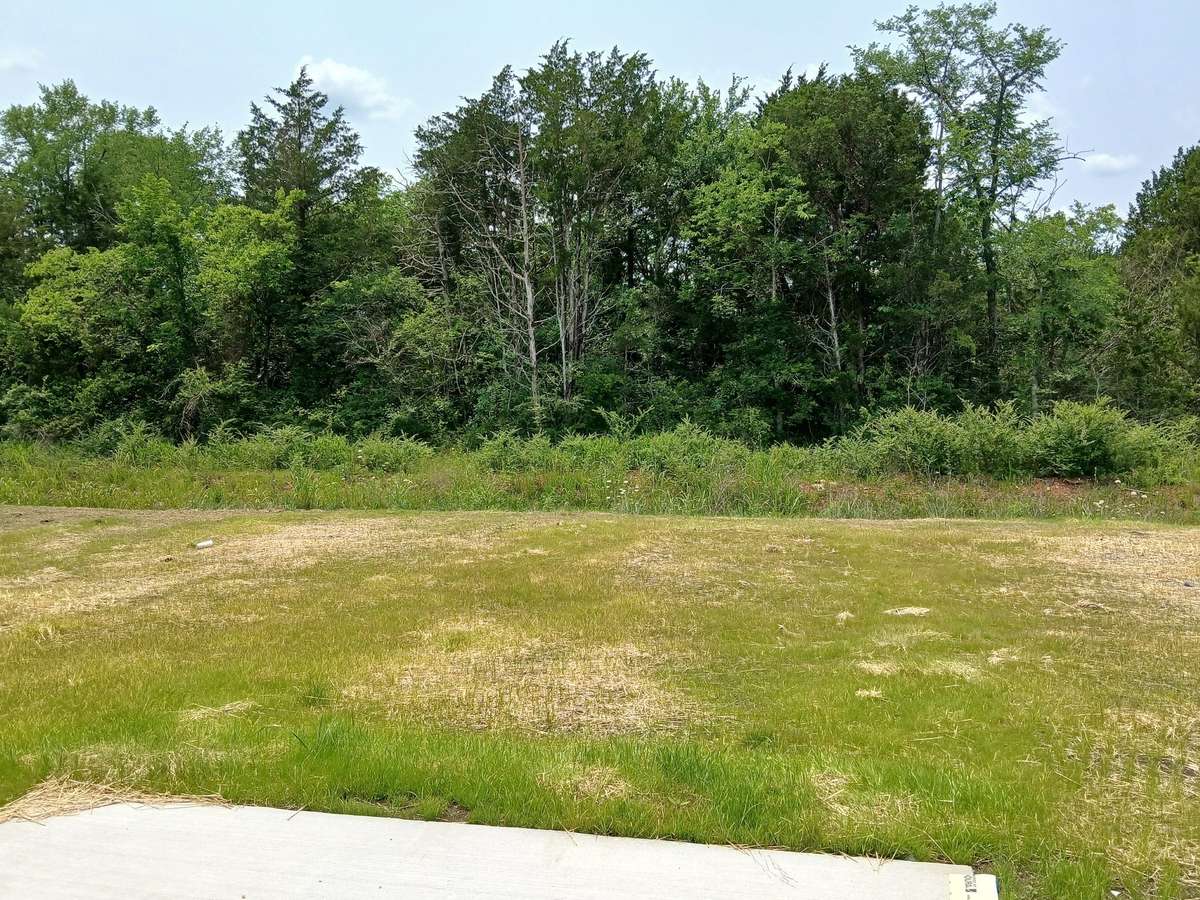 Large Private Backyard that backs up to Mature Trees and a Creek.