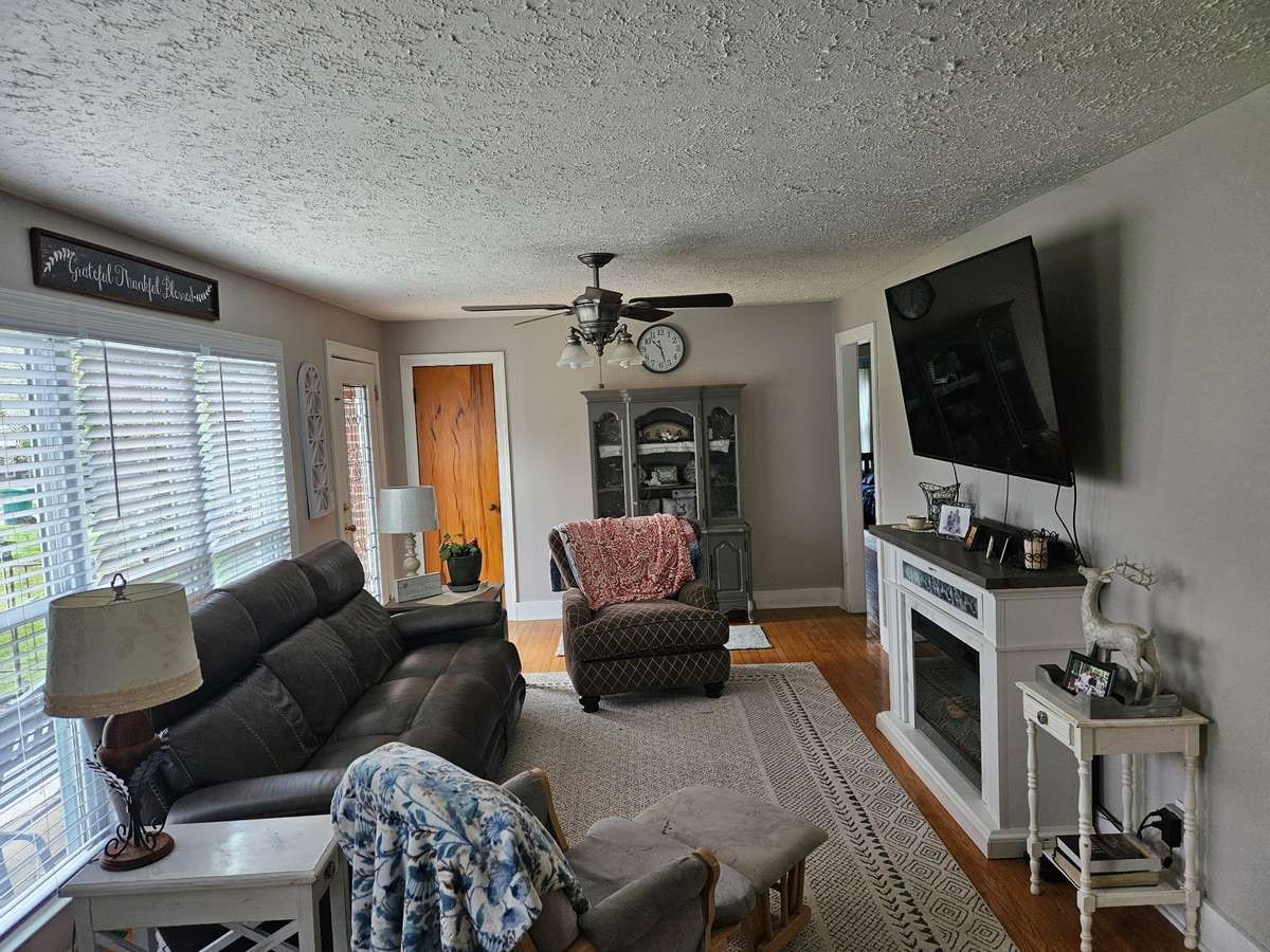 Living room with portable fireplace.