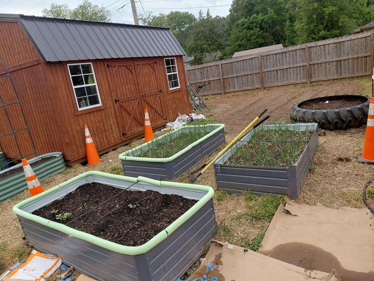 Already planted with corn and more. Ready for you to harvest!