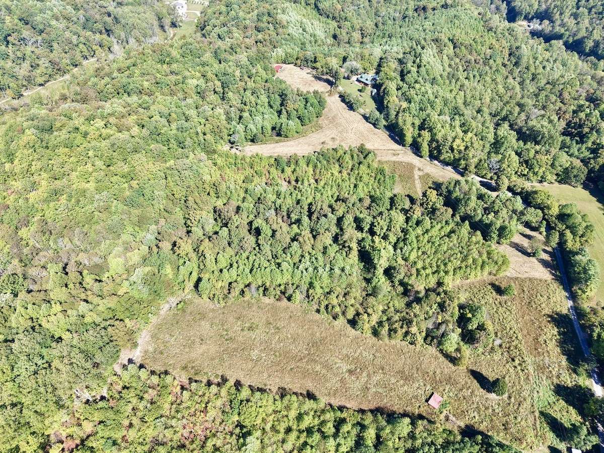 Overview of land.  Land is a mix of open pasture and mature woods.