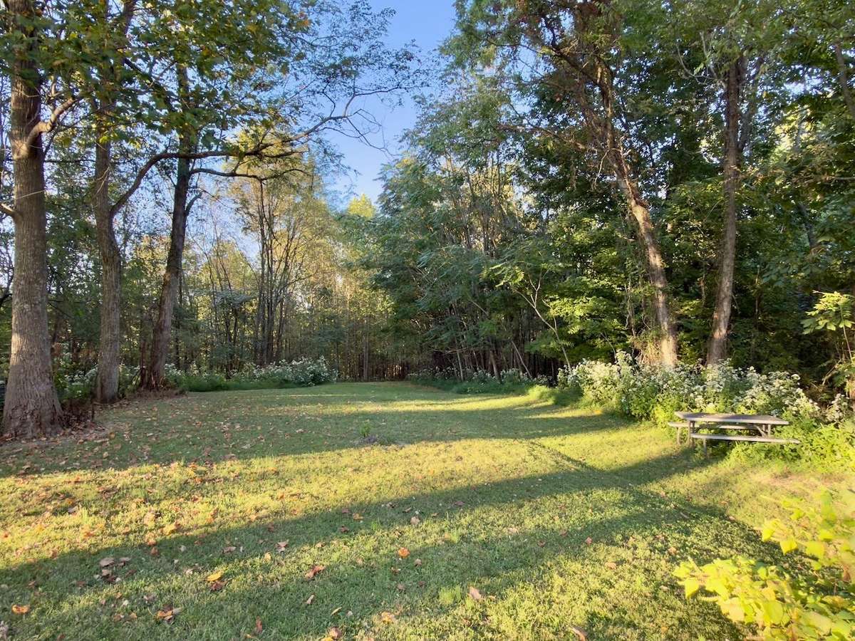 Backyard.