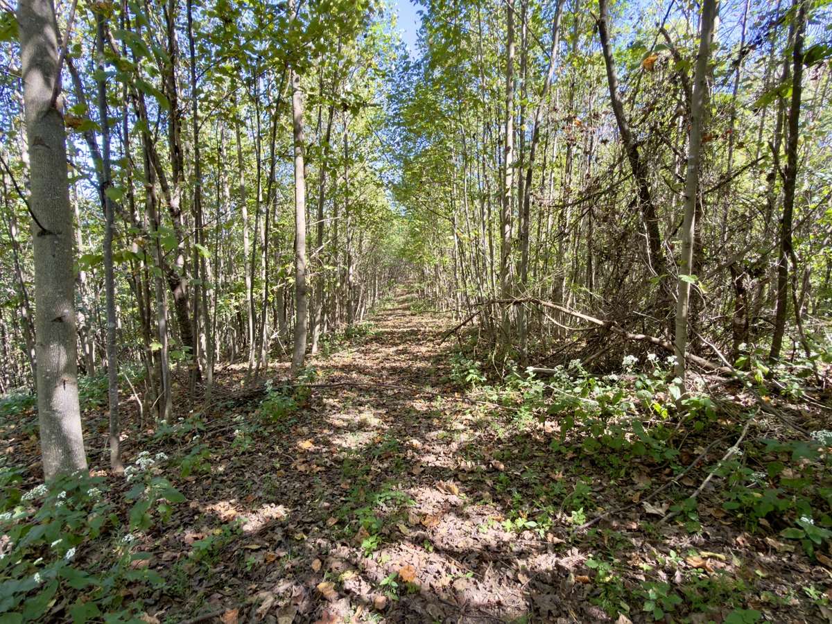 Hiking or horseback riding trail!