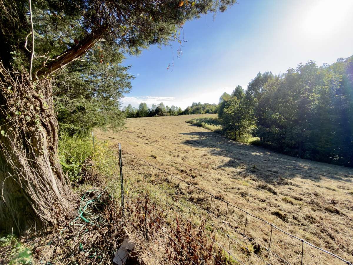 Field view - bring the animals!