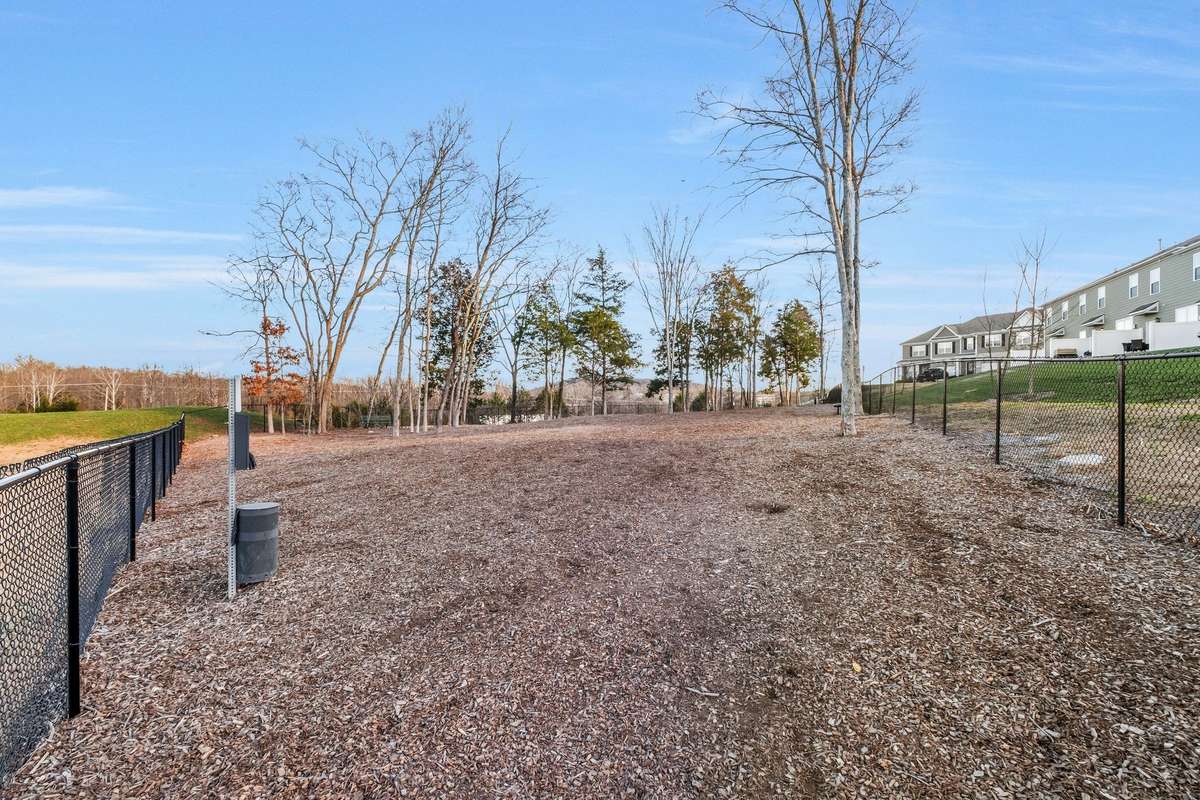 Dog Park