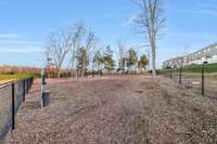 Dog Park