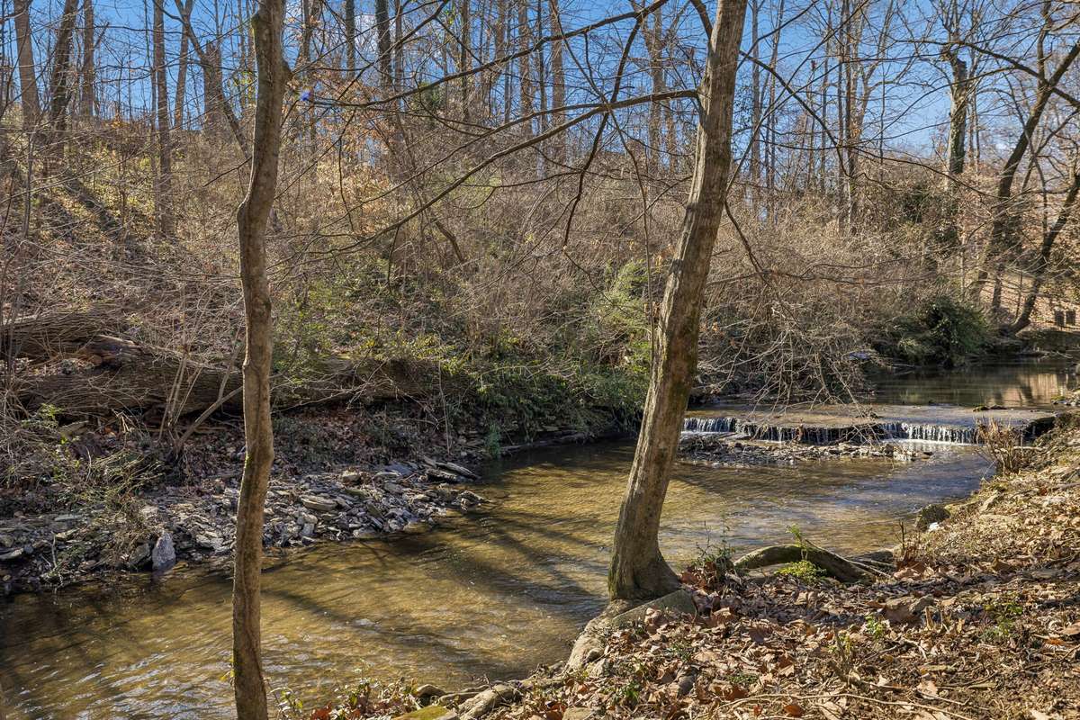 Slow down in this fast-paced life and enjoy your very own creek! This creek is home to creek otters, cranes, turtles, and more! Walk right out your front door and step into your tranquility!