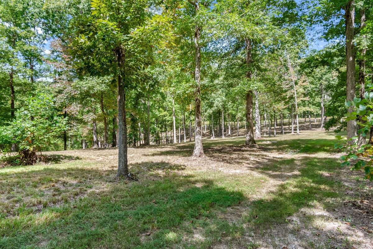 Perked for 5 bedrooms with an existing ~300-gallon well already in place—ready for your dream build.