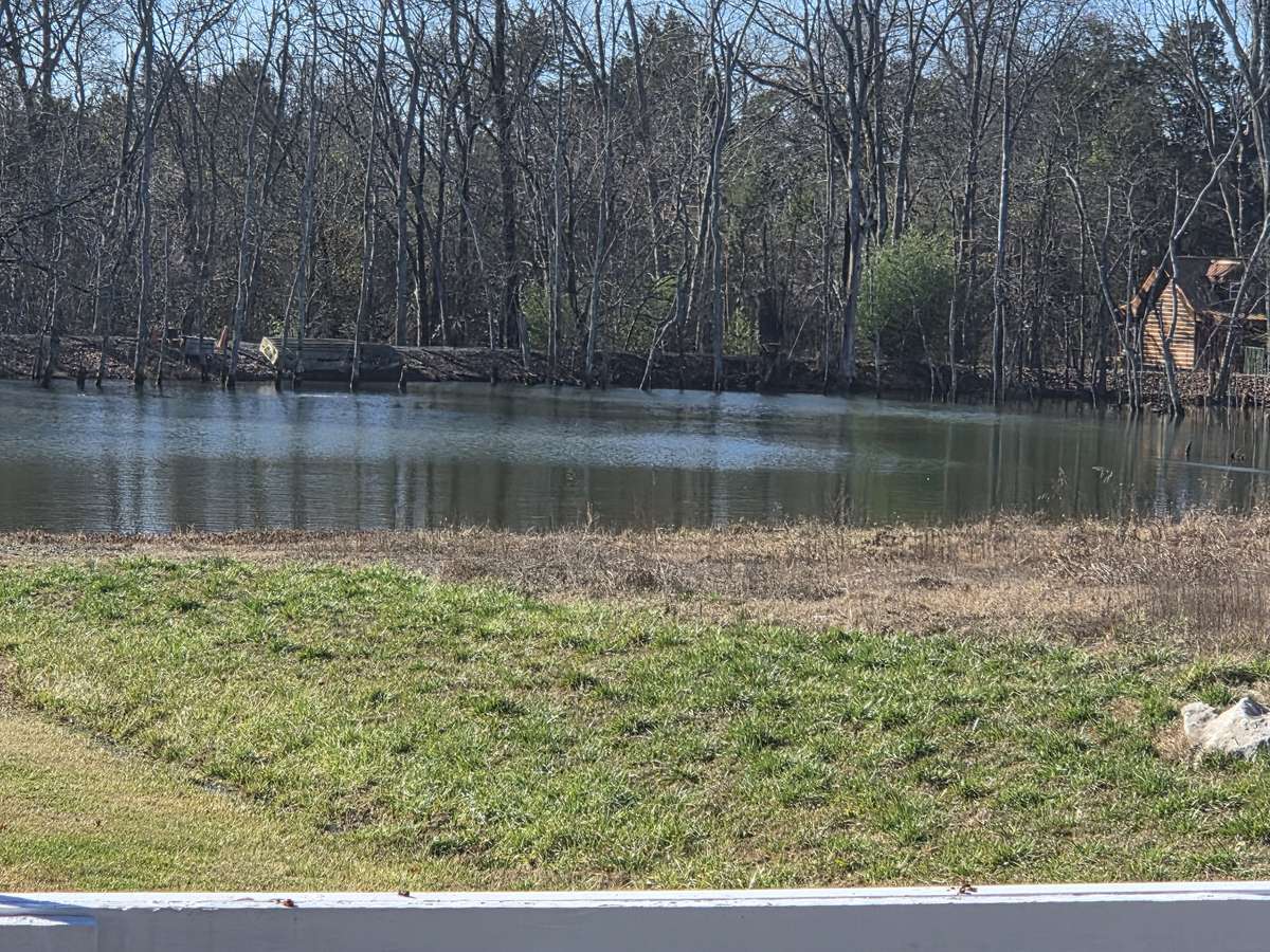 Large Pond has an abundance of Bass and Koi Fish.
