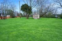 Virtually Enhanced grass and trees