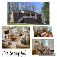 Beautiful home with beautiful treed lot