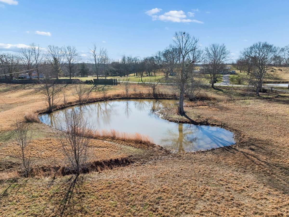 Pond #2