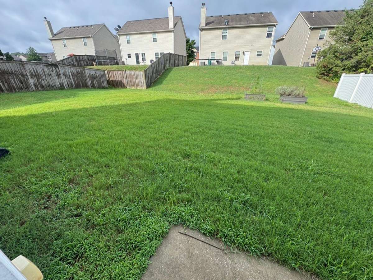 Beautiful backyard