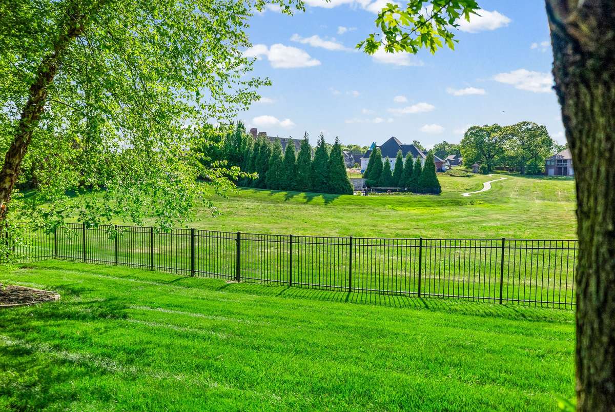Imagine... this is the stunning view from your Kitchen and deck, how gorgeous is that. This yard also backs up to no houses and within walking distance of the fabulous community pool and clubhouse.