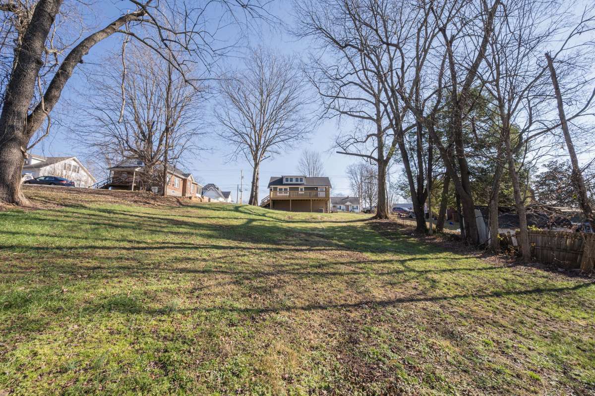 View from back yard to house