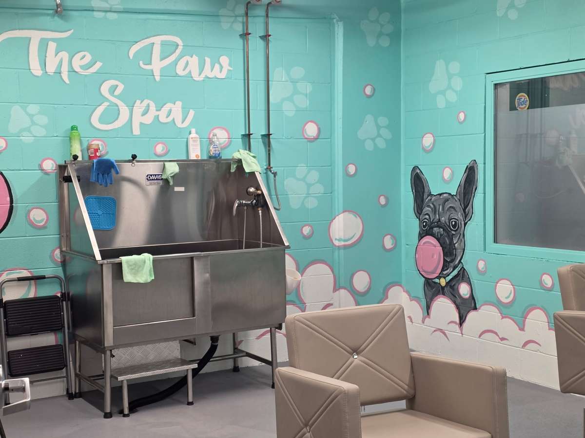 The Paw Spa makes keeping those furbabies glamorous simple and convenient!