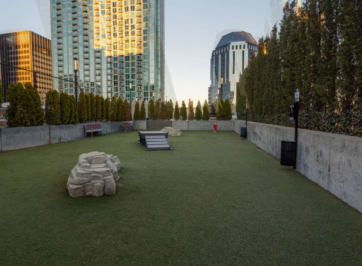 Designed with convenience in mind, this self-cleaning dog park offers a safe, comfortable space for pets to play and socialize - right at home!