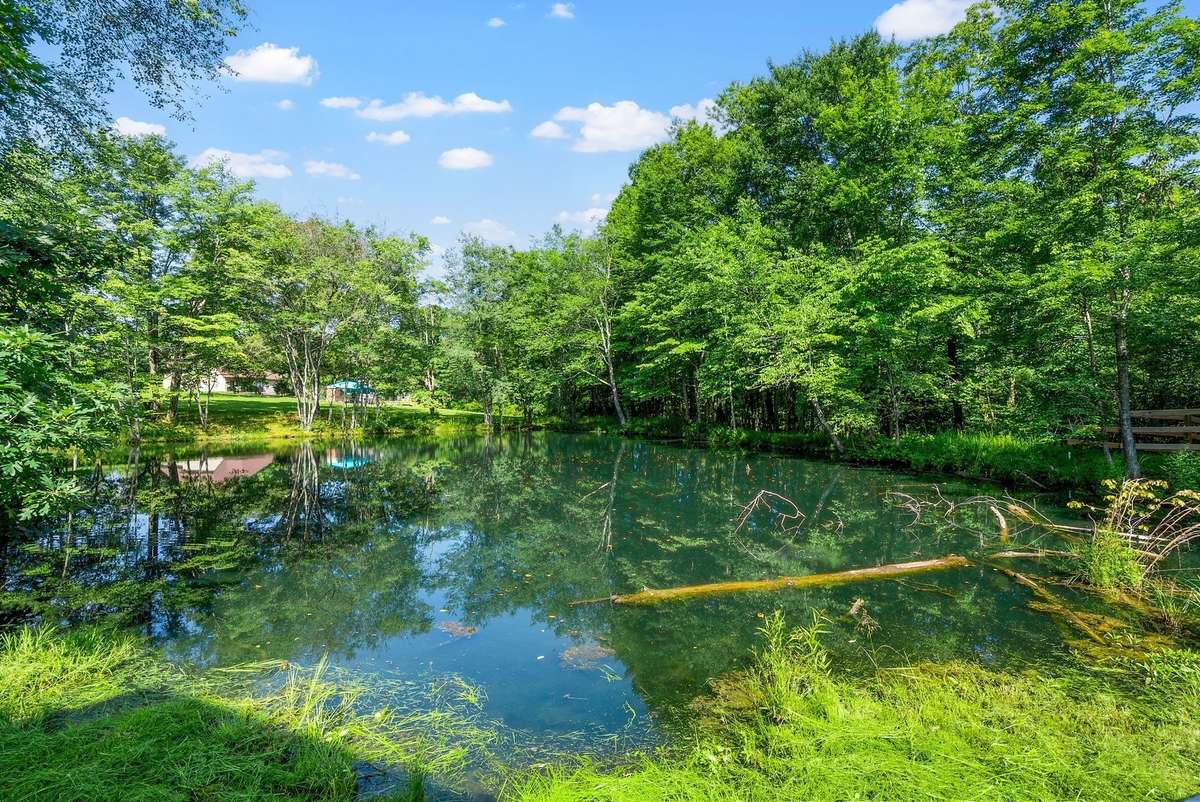 Enjoy half ownership of a tranquil pond for peaceful mornings or golden hour sunsets. ***Pond is designed for overflow to go to creek. Seller has not had any flooding issues. House sits up higher than pond.***