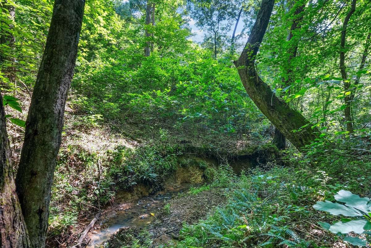 Enjoy private creek trail access - Gated path at the end of the fenced in backyard leads to a paved trail and serene creekside walks.